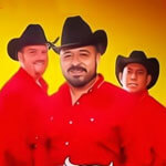 Discografía de Los Sementales De Nuevo León