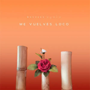 Álbum Me Vuelves Loco de Dayalex Ayala