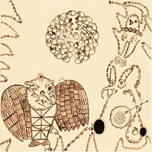 Álbum Rejoicing in the Hands de Devendra Banhart