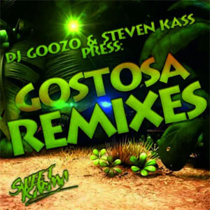 Álbum Gostosa de DJ Goozo