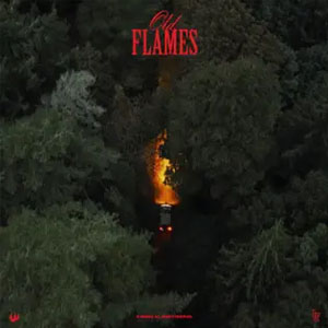 Álbum Old Flames de La Roux