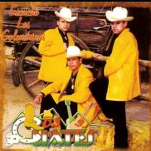 Álbum Escuché Las Golondrinas de Los Cuates De Sinaloa