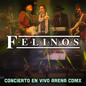 Álbum Concierto (En Vivo Arena CDMX) de Los Felinos