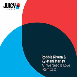 Álbum All We Need Is Love (Remixes) de Robbie Rivera