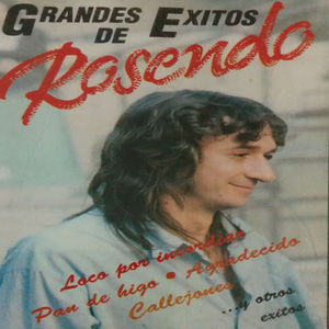 Álbum Grandes Éxitos de Rosendo Mercado