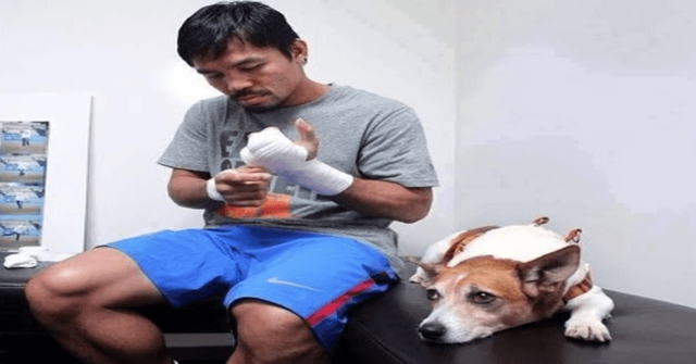 Manny junto a su perro